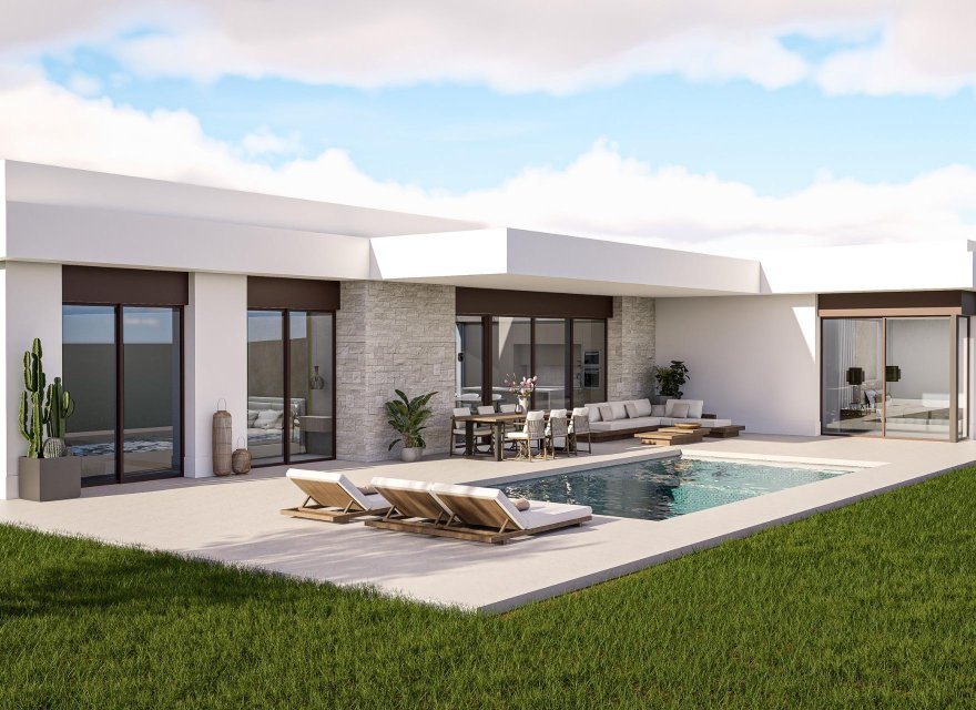 Новострой - Вилла - Pinoso - Lel