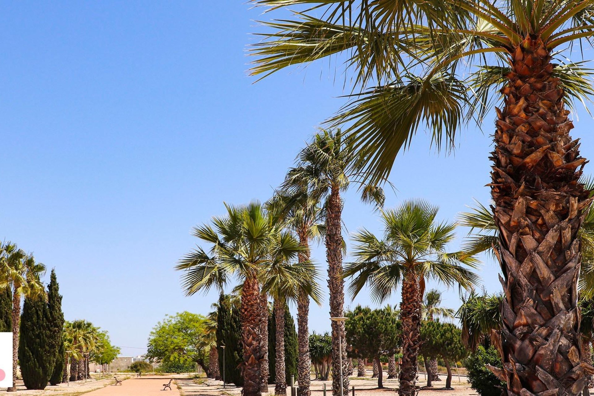 Новострой - Вилла - San Fulgencio - La Escuera