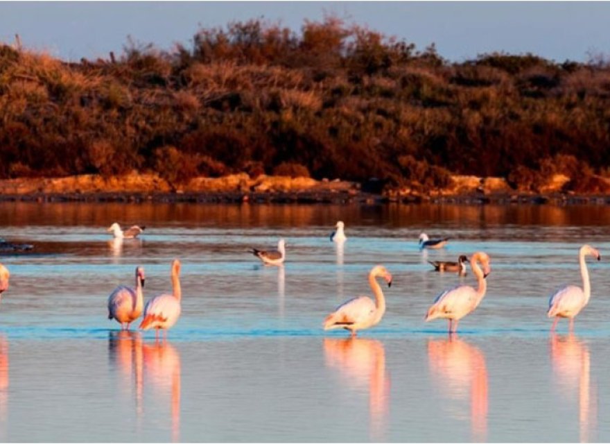 Новострой - Вилла - San Pedro del Pinatar - San Pedro Del Pinatar