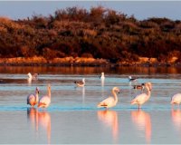 Новострой - Вилла - San Pedro del Pinatar - San Pedro Del Pinatar