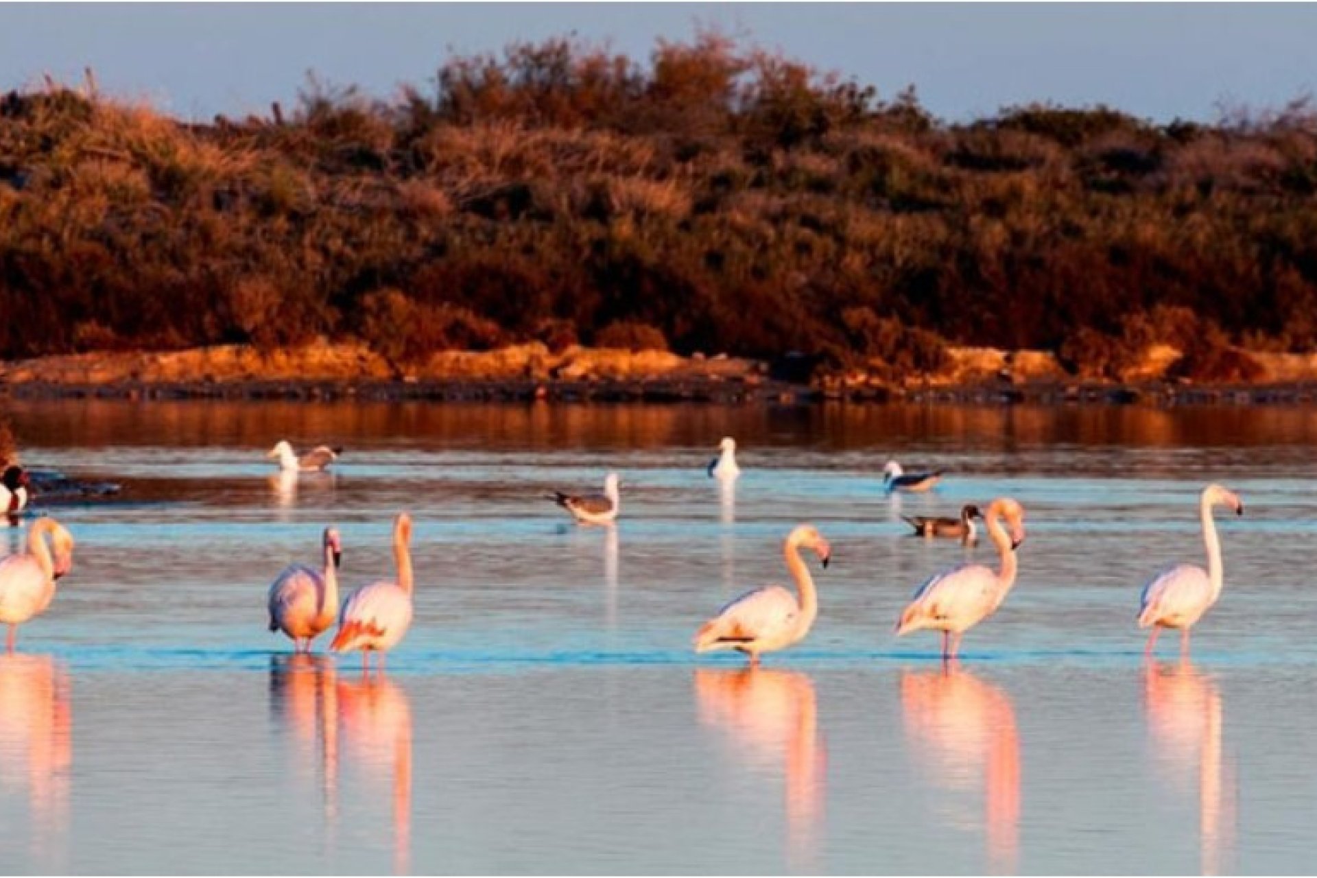 Новострой - Вилла - San Pedro del Pinatar - San Pedro Del Pinatar