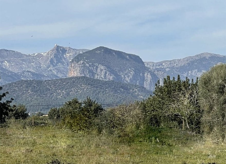 Новострой - Вилла - Santa María del Camí