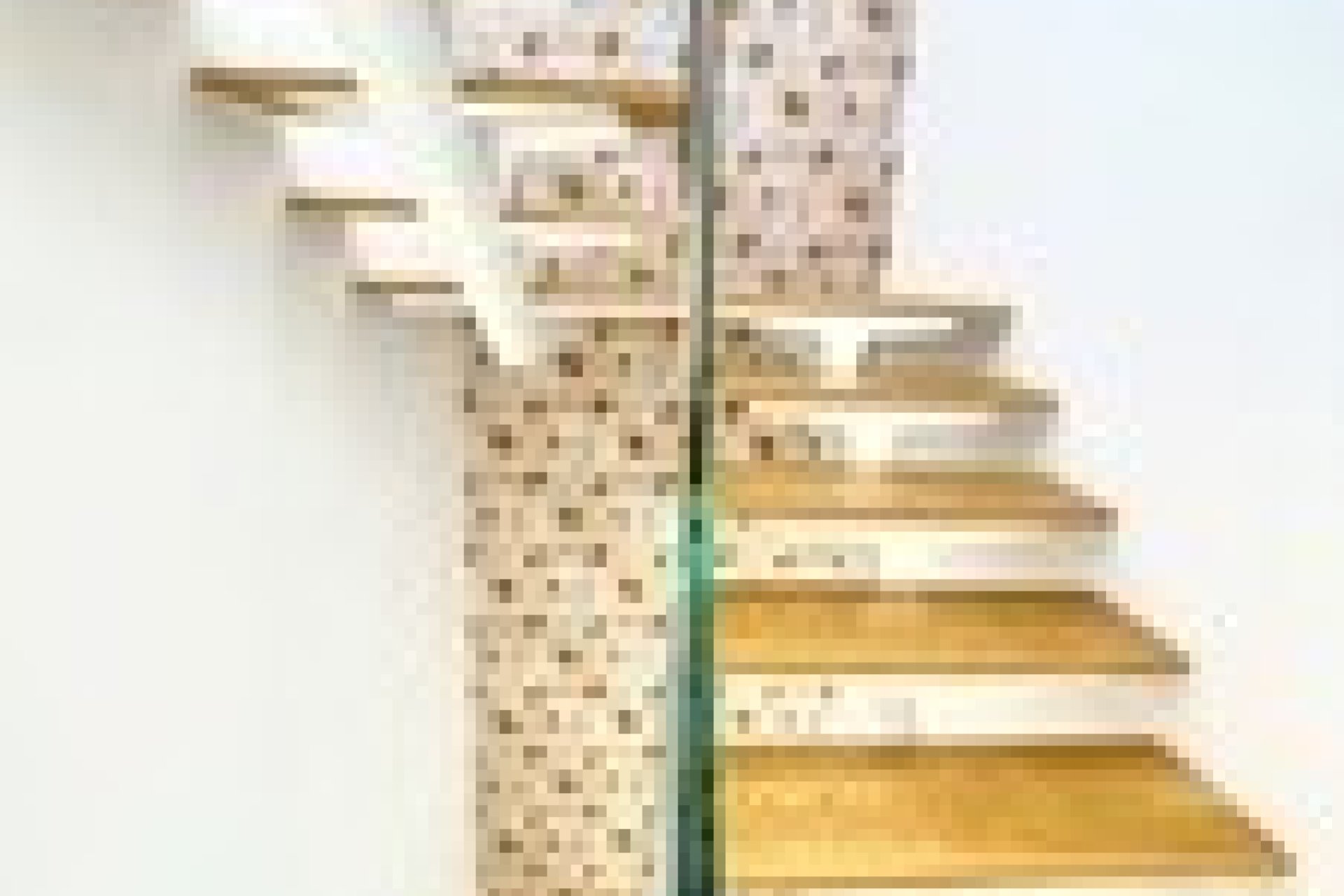 Новострой - Вилла - Torrevieja - Los Altos