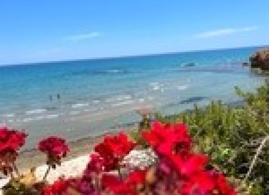 Новострой - Вилла - Torrevieja - Los Altos