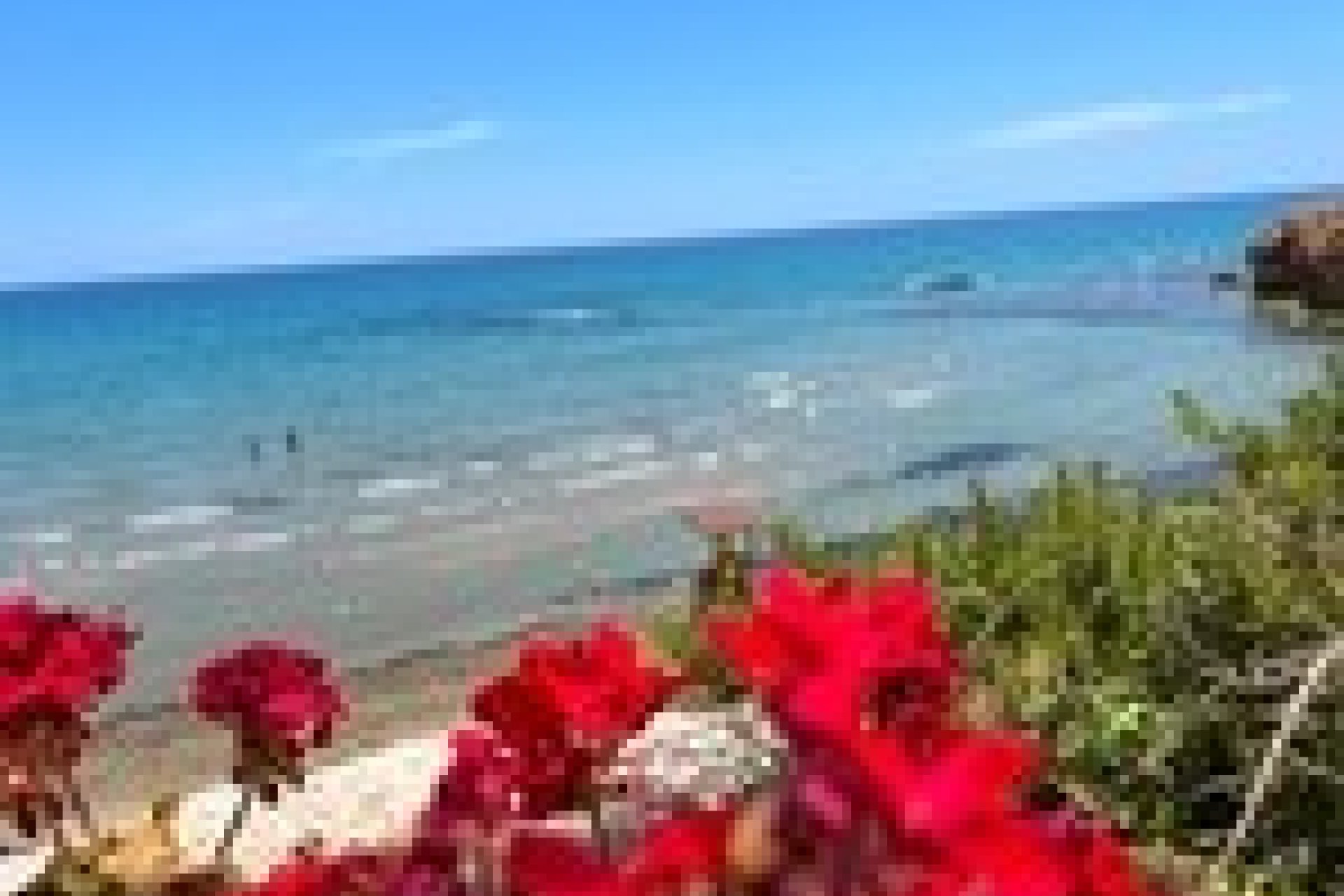 Новострой - Вилла - Torrevieja - Los Altos