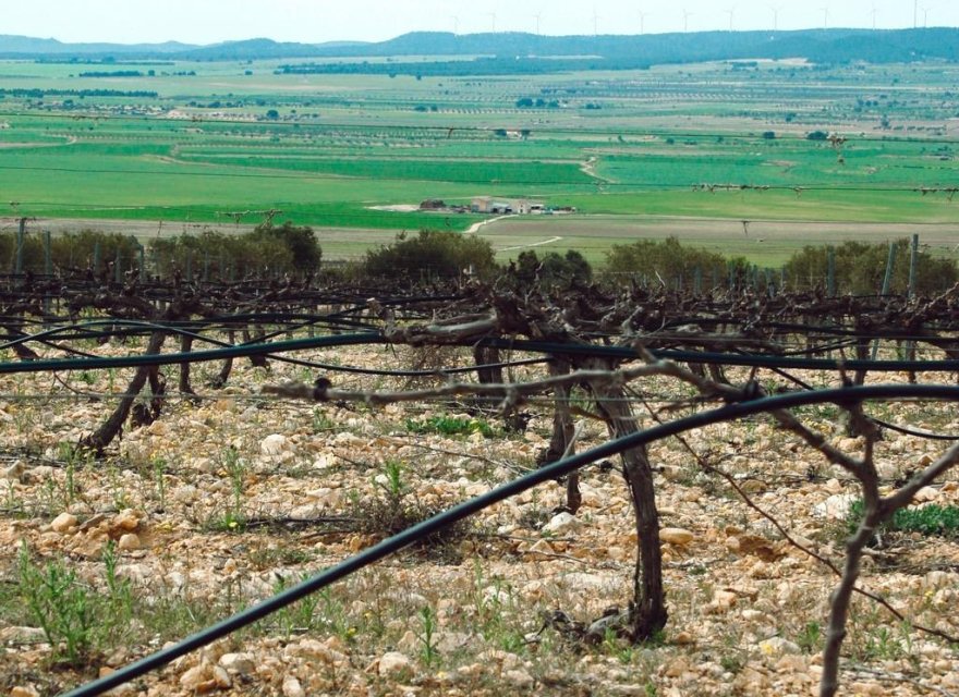 Новострой - Вилла - Yecla