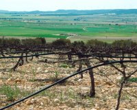 Новострой - Вилла - Yecla