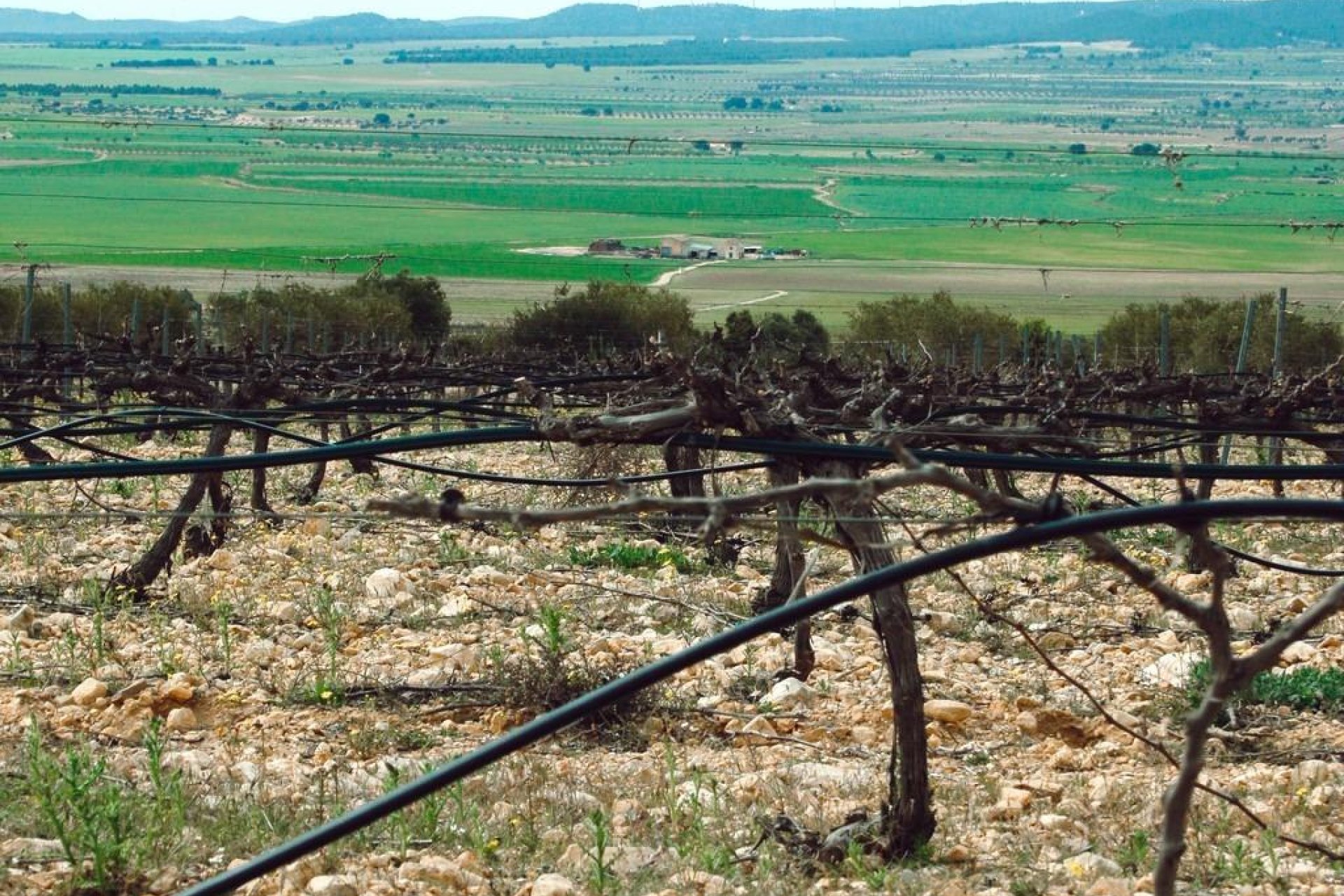 Новострой - Вилла - Yecla