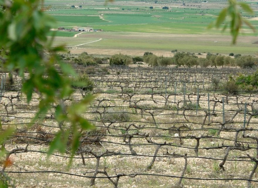 Новострой - Вилла - Yecla