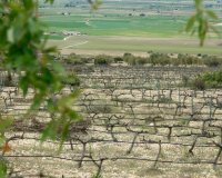 Новострой - Вилла - Yecla