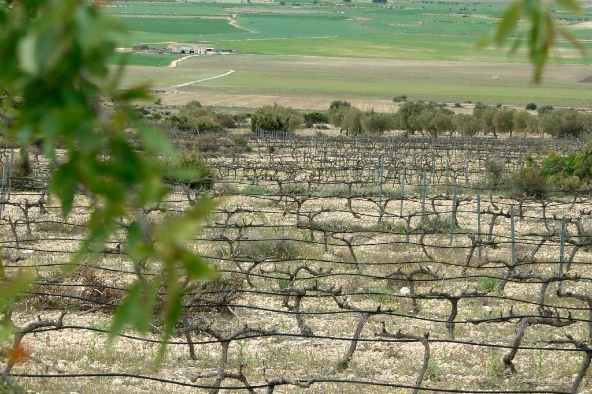 Новострой - Вилла - Yecla