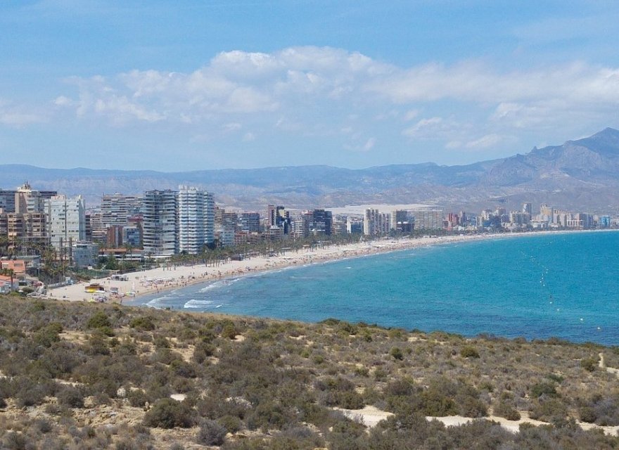 Nowa konstrukcja - Apartament - Alicante (San Juan) - Franc Espinós