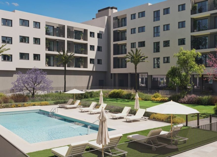 Nowa konstrukcja - Apartament - Alicante