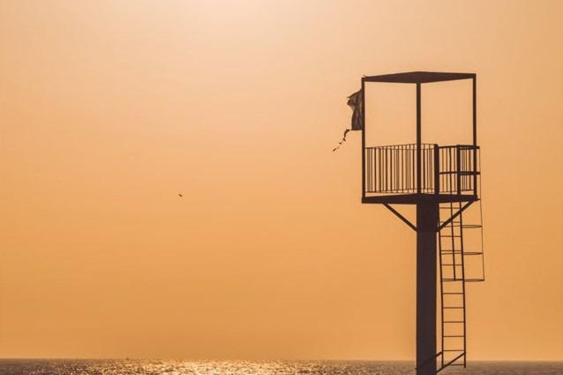 Nowa konstrukcja - Apartament - Almerimar