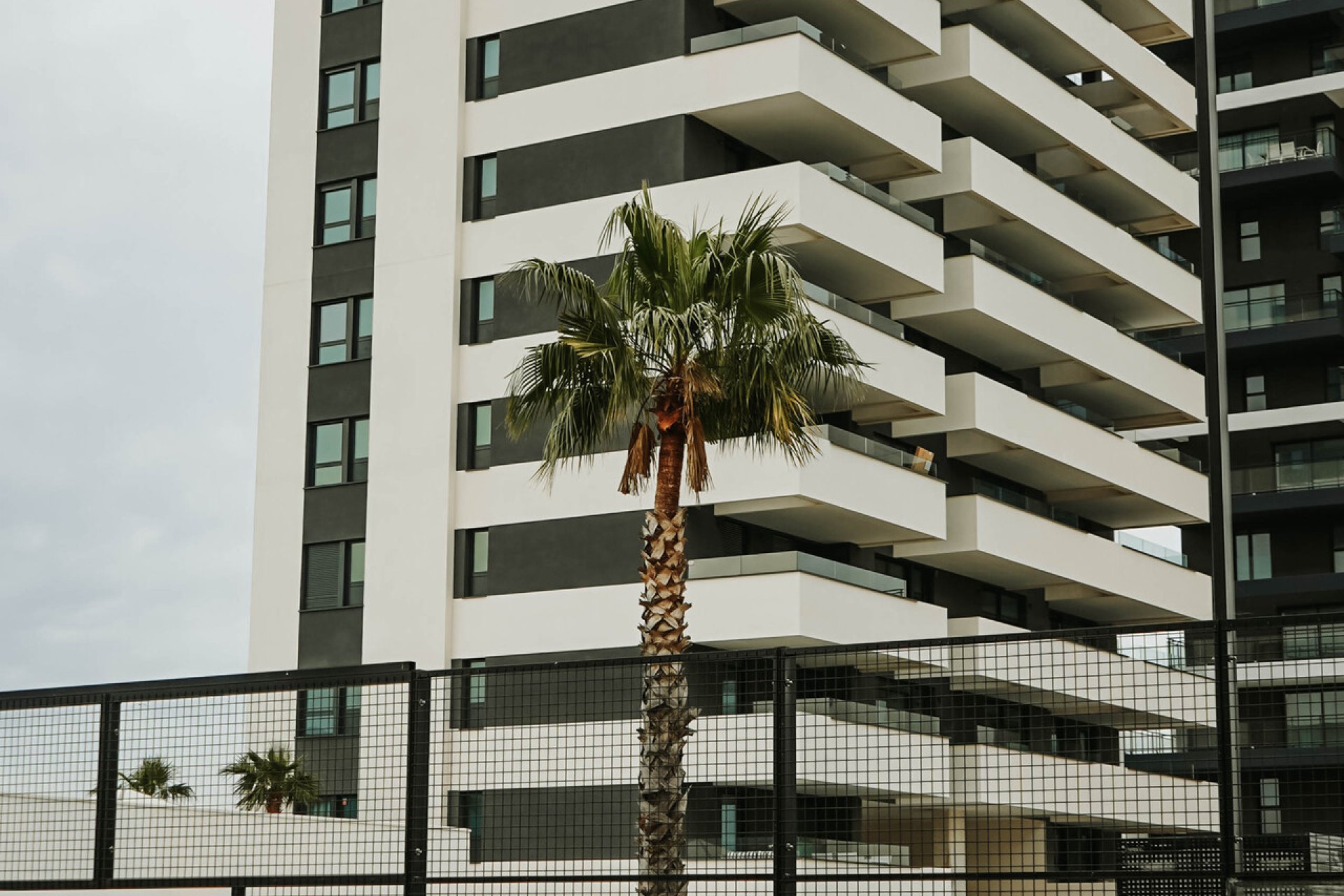 Nowa konstrukcja - Apartament - Calpe