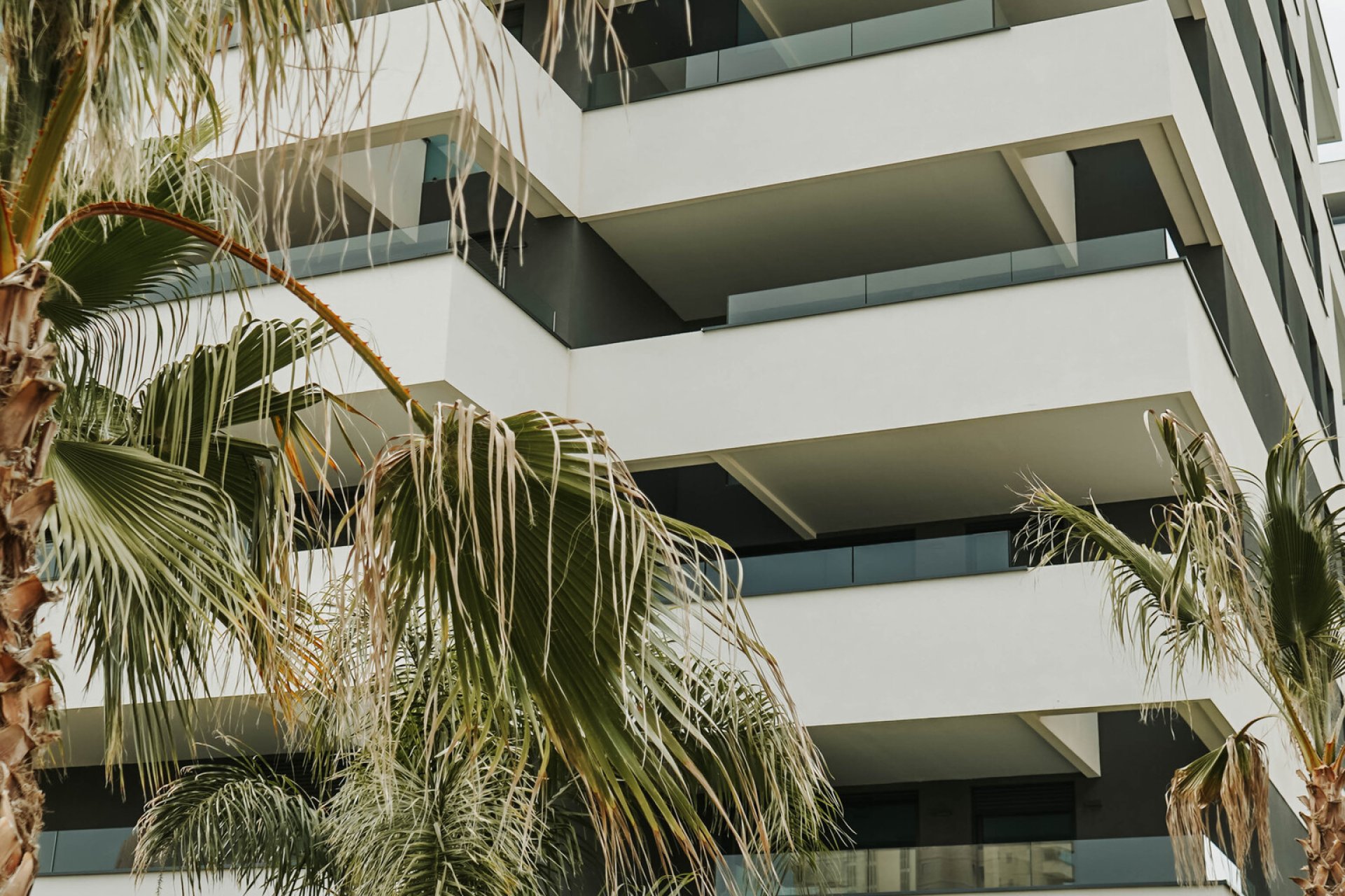 Nowa konstrukcja - Apartament - Calpe