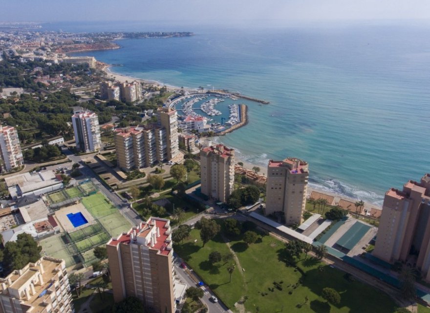 Nowa konstrukcja - Apartament - Campoamor