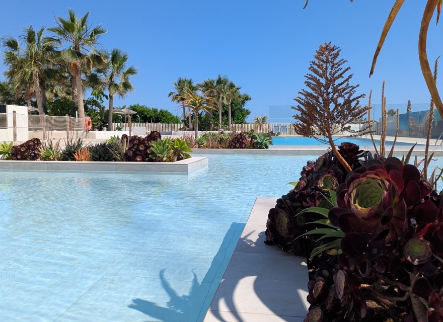 Nowa konstrukcja - Apartament - Denia