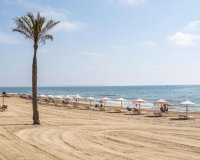 Nowa konstrukcja - Apartament - Guardamar del Segura - Pueblo