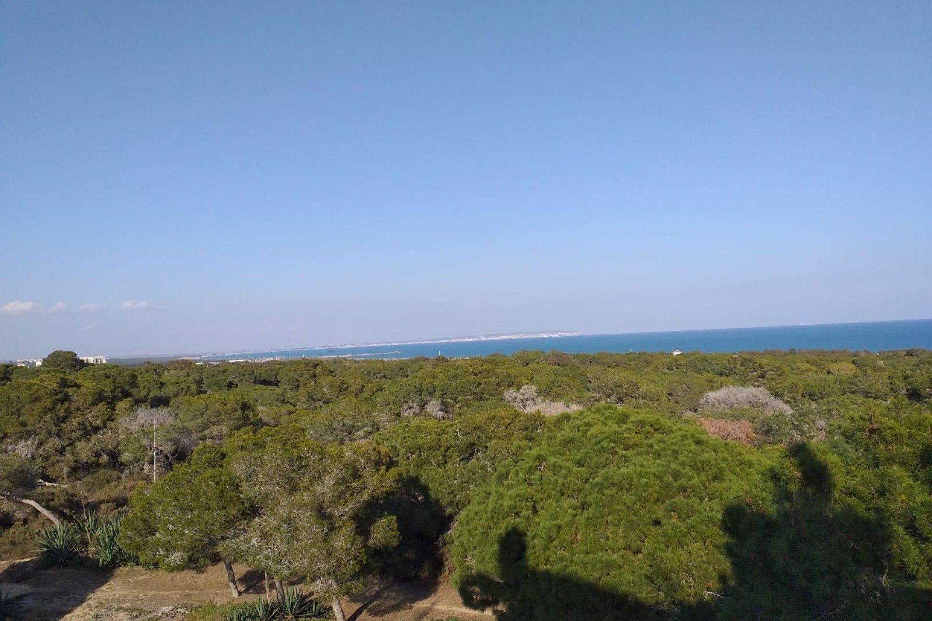 Nowa konstrukcja - Apartament - Guardamar del Segura - Pueblo