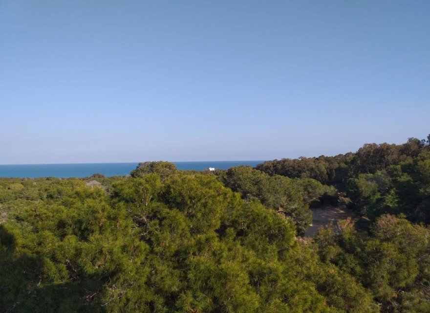 Nowa konstrukcja - Apartament - Guardamar del Segura - Pueblo