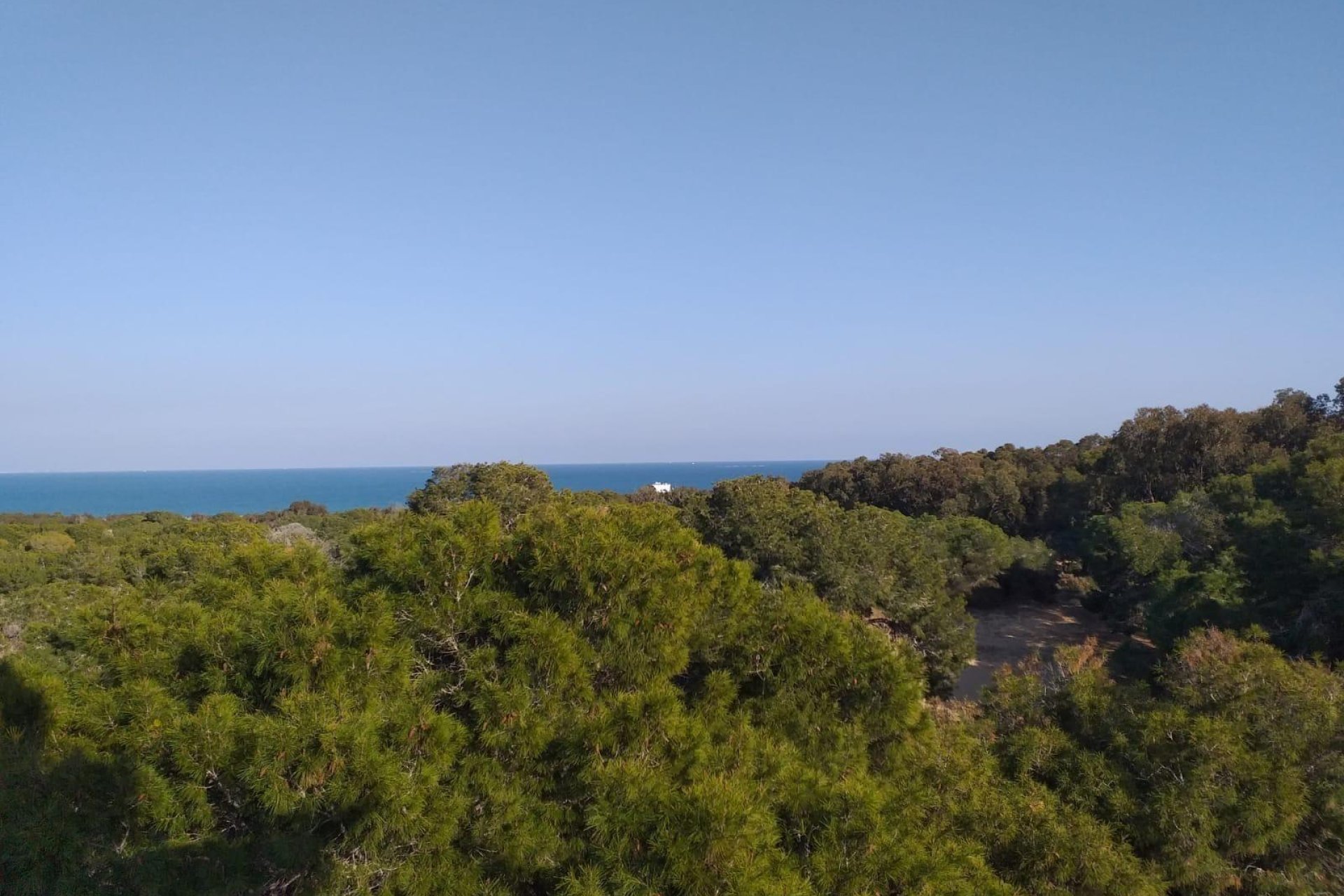 Nowa konstrukcja - Apartament - Guardamar del Segura - Pueblo