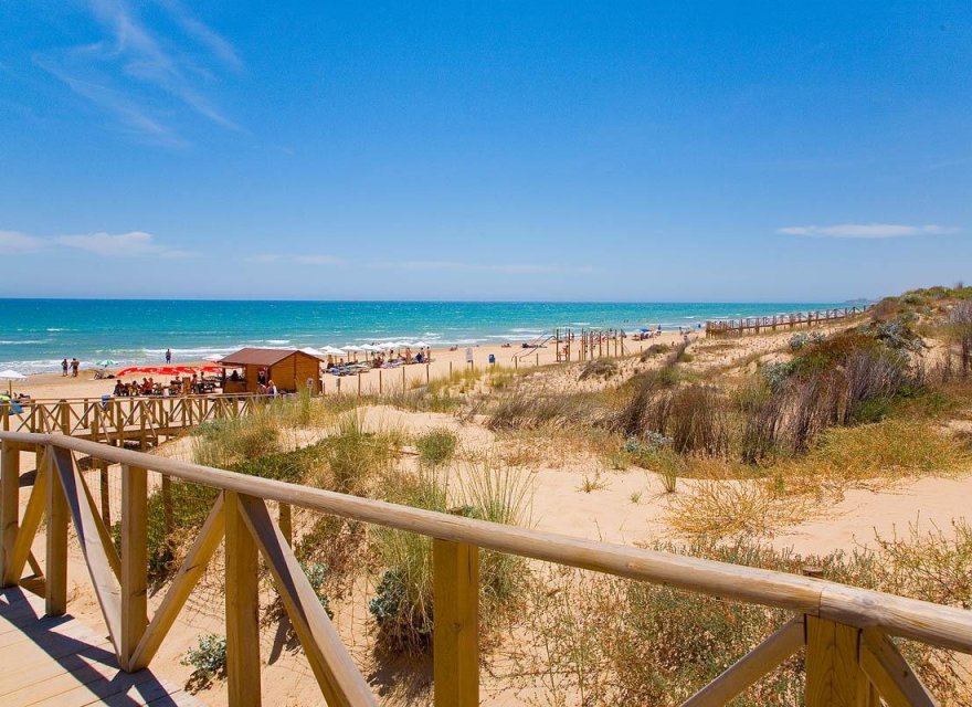 Nowa konstrukcja - Apartament - Guardamar del Segura - Pueblo