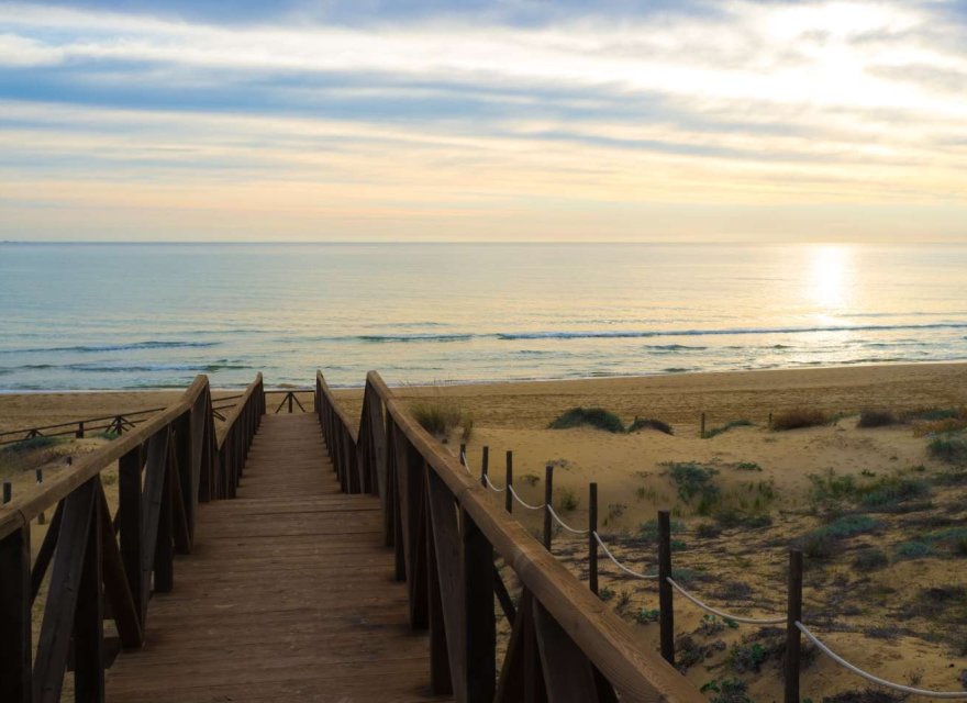 Nowa konstrukcja - Apartament - Guardamar del Segura