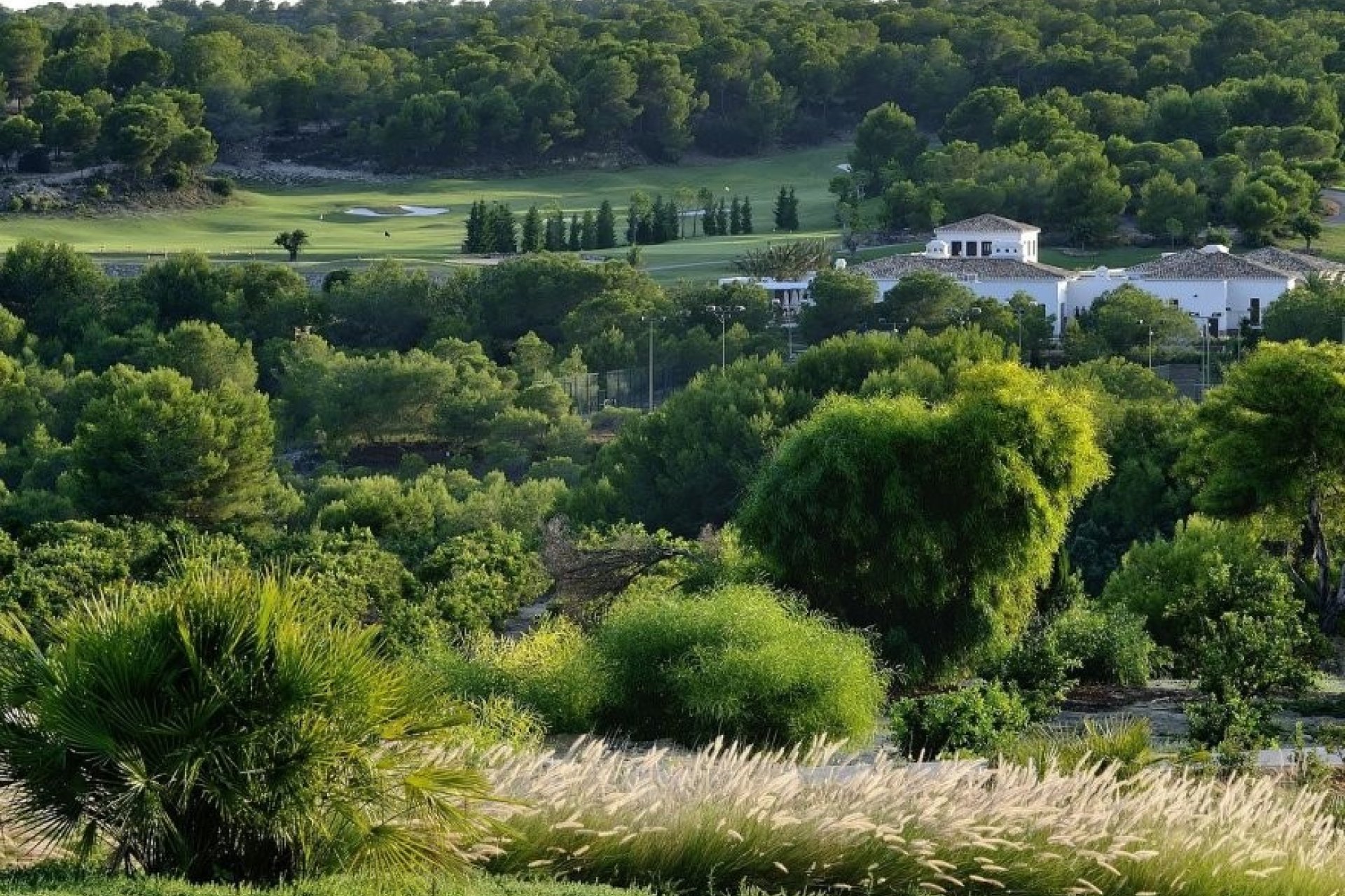 Nowa konstrukcja - Apartament - Las Colinas Golf - Las Colinas golf