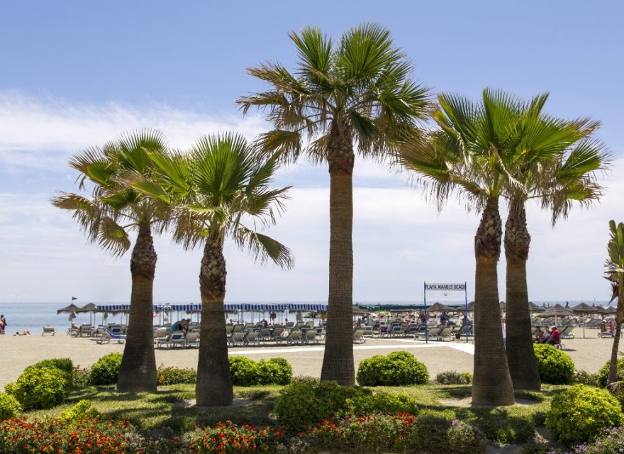 Nowa konstrukcja - Apartament - Mijas - Las Lagunas de Mijas