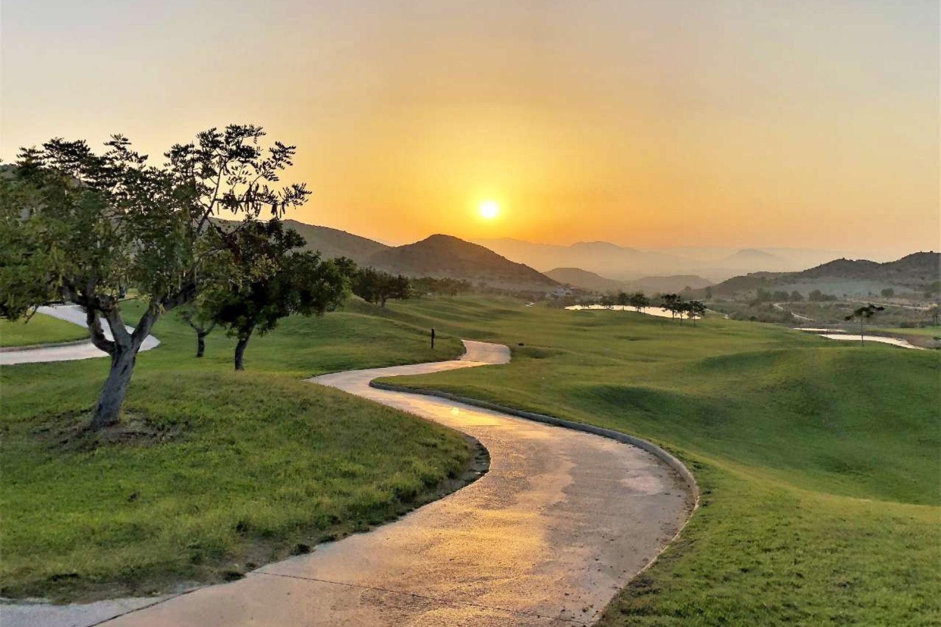 Nowa konstrukcja - Apartament - Monforte del Cid - Font del Llop