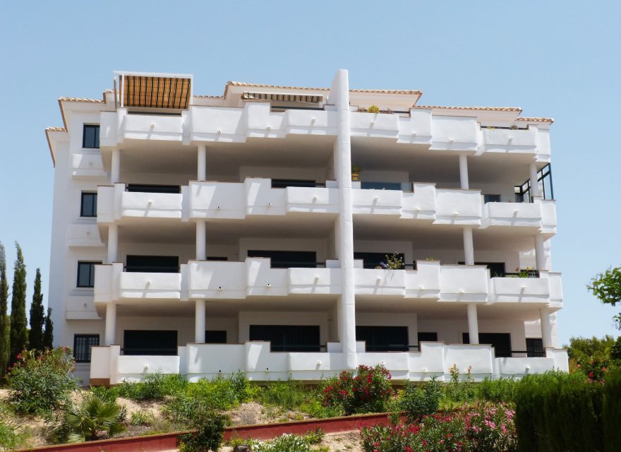 Nowa konstrukcja - Apartament - Orihuela Costa