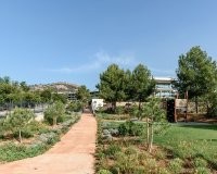 Nowa konstrukcja - Apartament - Paguera