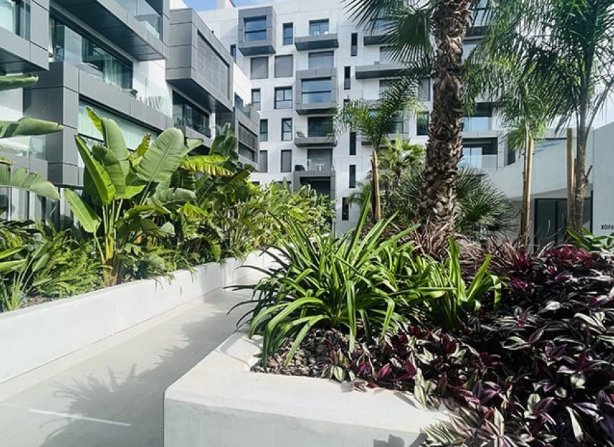 Nowa konstrukcja - Apartament - Palma de Mallorca - Palma