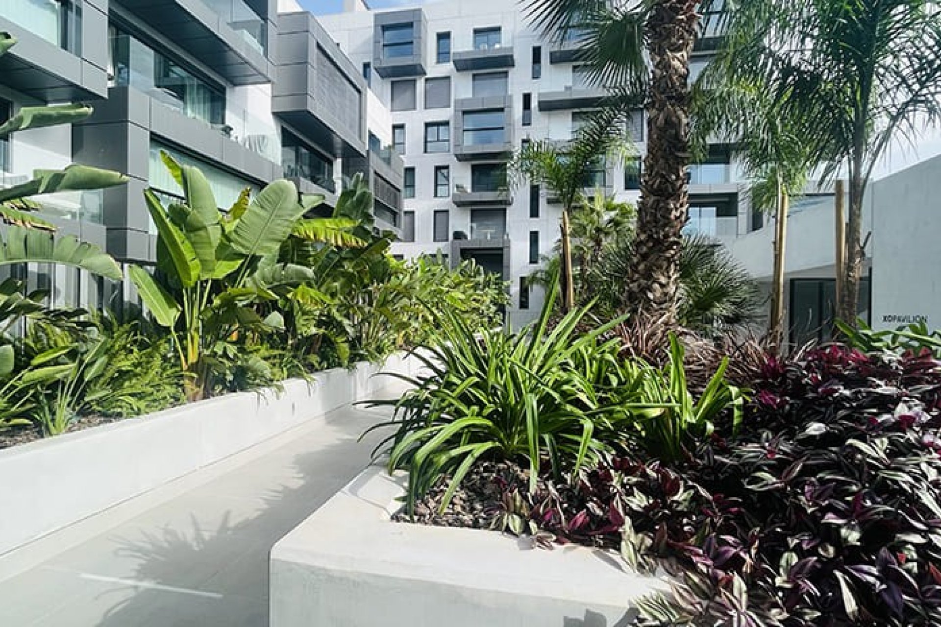 Nowa konstrukcja - Apartament - Palma de Mallorca - Palma