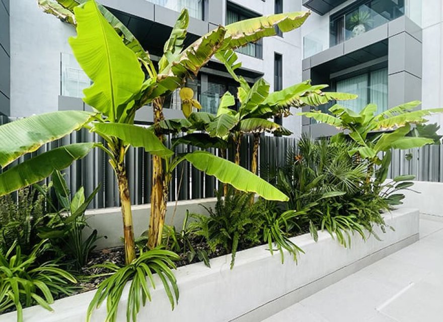 Nowa konstrukcja - Apartament - Palma de Mallorca - Palma