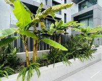 Nowa konstrukcja - Apartament - Palma de Mallorca - Palma