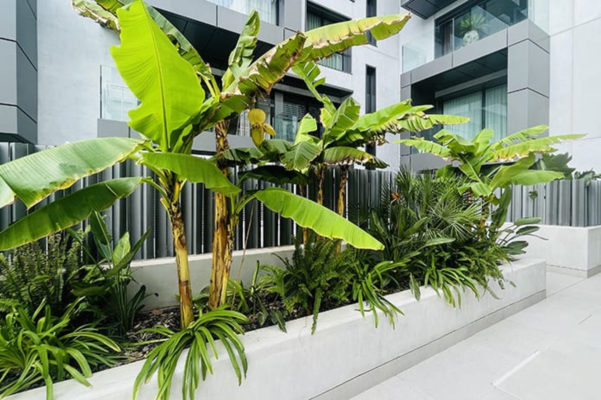 Nowa konstrukcja - Apartament - Palma de Mallorca - Palma