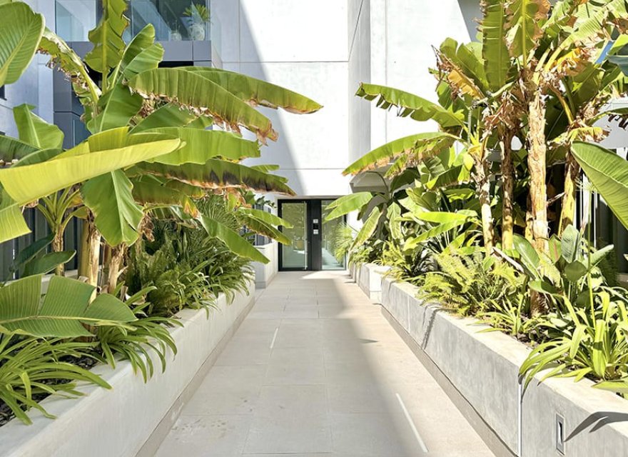 Nowa konstrukcja - Apartament - Palma de Mallorca - Palma