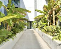 Nowa konstrukcja - Apartament - Palma de Mallorca - Palma