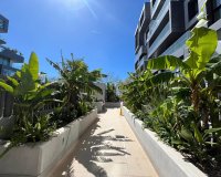 Nowa konstrukcja - Apartament - Palma de Mallorca - Palma
