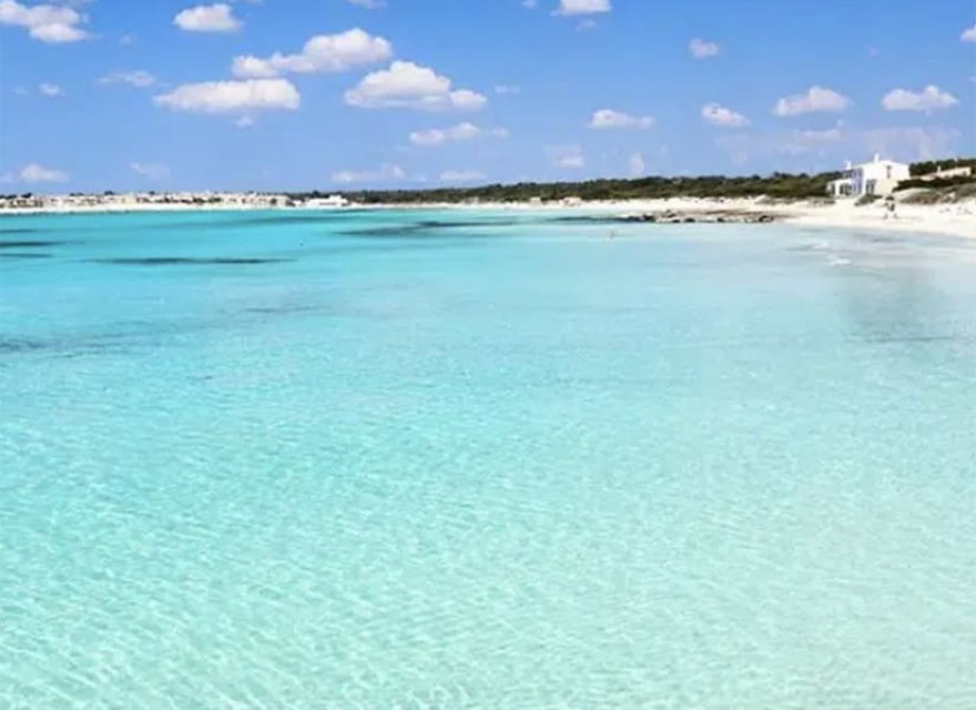 Nowa konstrukcja - Apartament - Sa Rapita