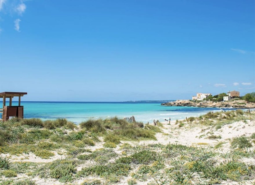 Nowa konstrukcja - Apartament - Sa Rapita