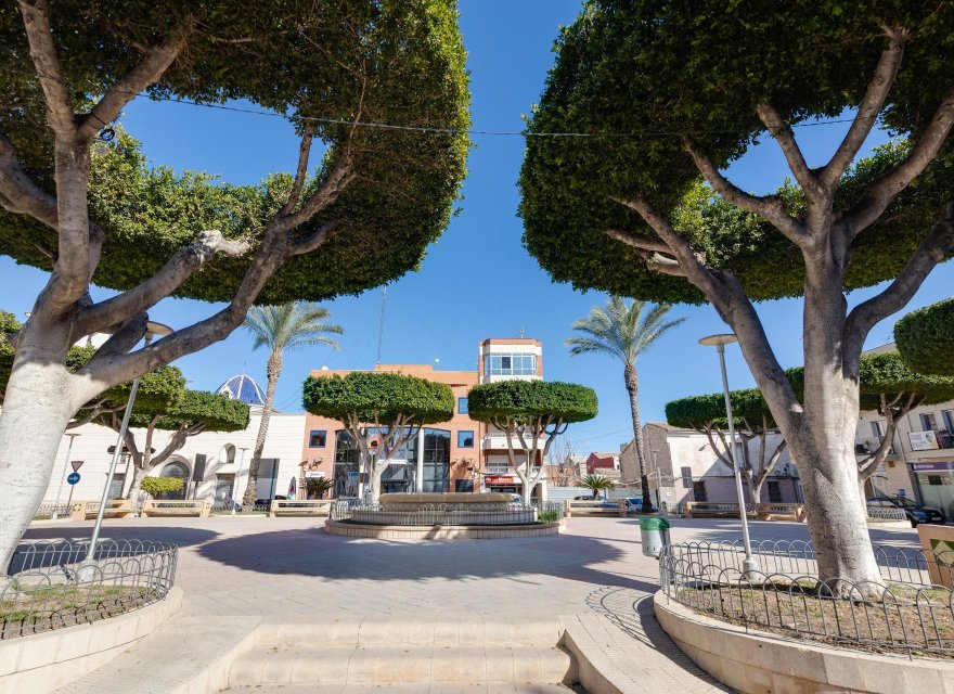 Nowa konstrukcja - Apartament - San Fulgencio - Pueblo