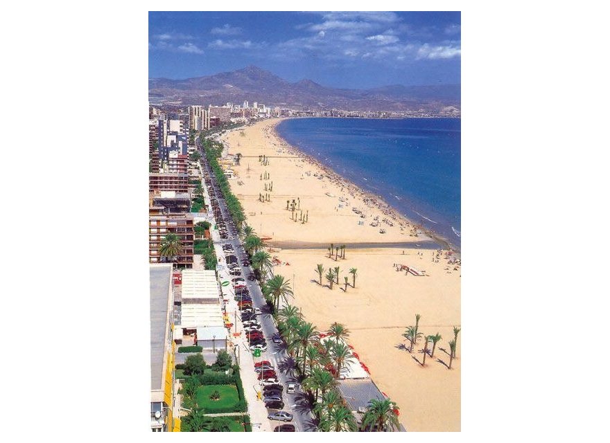 Nowa konstrukcja - Apartament - San Juan Alicante - Franc Espinós