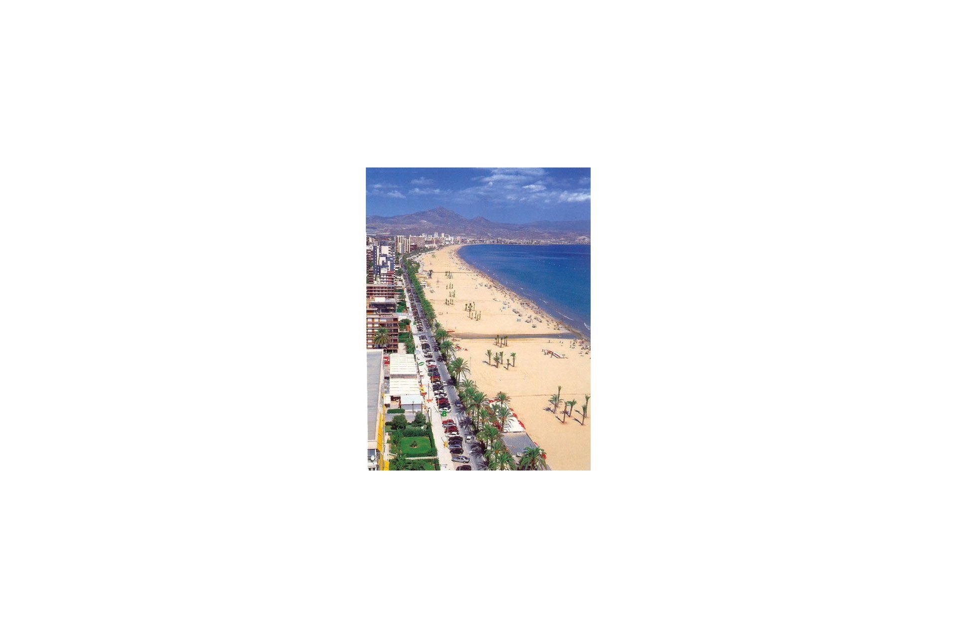 Nowa konstrukcja - Apartament - San Juan Alicante - Franc Espinós