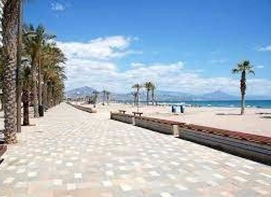 Nowa konstrukcja - Apartament - San Juan Alicante - Franc Espinós