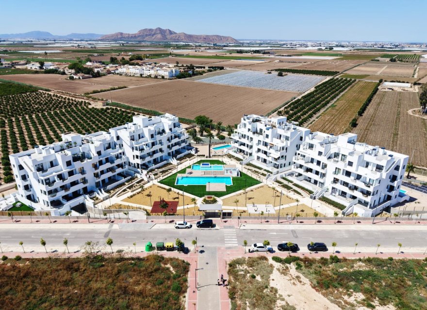 Nowa konstrukcja - Apartament - Torre Pacheco - Torre-Pacheco