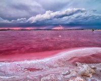 Nowa konstrukcja - Apartament - Torrevieja - Centro