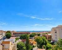 Nowa konstrukcja - Apartament - Torrevieja - Nueva Torrevieja